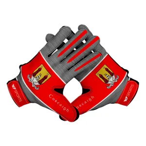 Cork GAA: Gloves
